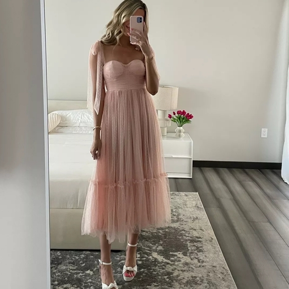 Vici Frances Tulle Polka Dot Midi Dress - BLUSH PINK - Picture 10 of 16